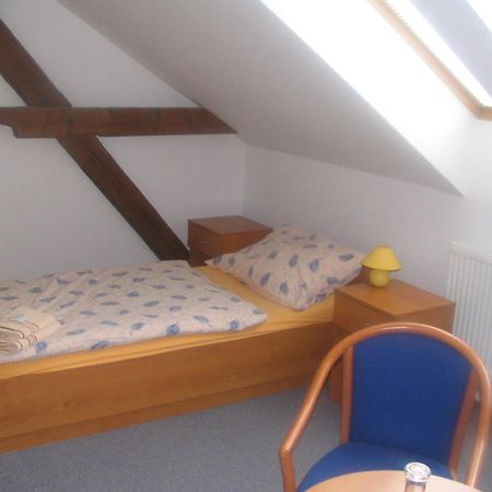 Pension Smetanuv Statek Hradec Králové Extérieur photo