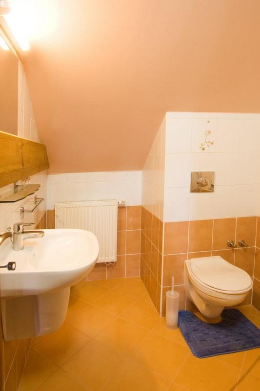 Pension Smetanuv Statek Hradec Králové Extérieur photo