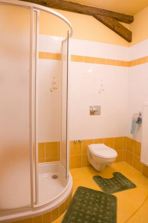 Pension Smetanuv Statek Hradec Králové Extérieur photo